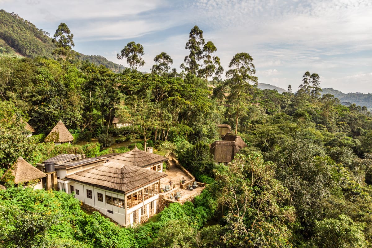 Bwindi Lodge 